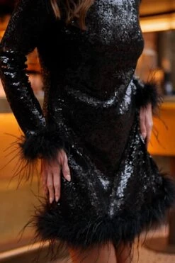 Black Feather Trim Premium Sequin Shift Dress -Sosandar Fashion Store 6725cc267efa5c69a5b3238455f448e1b4c1ca87 1