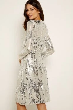 Silver Scattered Sequin V Neck Dress 10 Silver Scattered Sequin V Neck Dress -Sosandar Fashion Store a19dw141 4