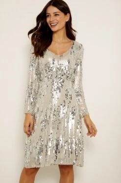 Silver Scattered Sequin V Neck Dress
