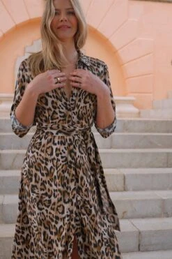 Petite Leopard Print Belted Shirt Dress -Sosandar Fashion Store d19d81cf04f6a41c792d9231d1b2bdb8f0ae1c14