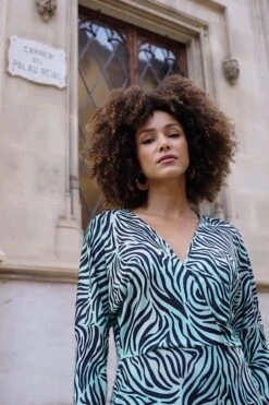 Green Zebra Print Pleated Wrap Front Dress 13 Green Zebra Print Pleated Wrap Front Dress -Sosandar Fashion Store e9c0b98321cb97144e2cf6a88ec28472cd43a184