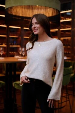 Cream Sequin Jumper With Black Bow Detail 11 Cream Sequin Jumper With Black Bow Detail -Sosandar Fashion Store fc6211eadb91c71df98797508f3ee7f4c973e338