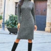 Charcoal Grey Roll Neck Rib Jumper Dress 1 Charcoal Grey Roll Neck Rib Jumper Dress -Sosandar Fashion Store web 81 a21dk504gy s21fw004gy 134