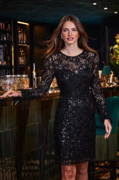 Black Premium Sequin & Lace Feather Cuff Shift Dress -Sosandar Fashion Store web 2309 182 a23dw029bk0001 182 106