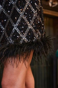 Black Luxe Sequin Feather Hem Skirt -Sosandar Fashion Store web 2309 66 a23tk271bk0001 66 172 1