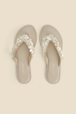 Ecru Shell Detail Leather Flip Flops -Sosandar Fashion Store web 2402 box s24fw022eu0001 c