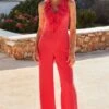 Pink Ruffle Detail Wide Leg Jumpsuit 2 Pink Ruffle Detail Wide Leg Jumpsuit -Sosandar Fashion Store web 2405 133 s24jw020pk0008 133 580201