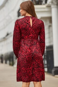 Red Animal Print Key Hole Detail Fit & Flare Dress -Sosandar Fashion Store web 2409 08 a23dw035rdan01 08 1419 rt