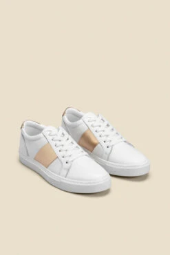 India Gold Side Stripe Detail Leather Trainers -Sosandar Fashion Store web 2505 box s23fw029mc0003 b