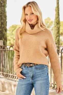 Camel Roll Neck Super Soft Knitted Jumper -Sosandar Fashion Store web 2509 14 a25tk460bn0002 a24bd024be0010 14 064
