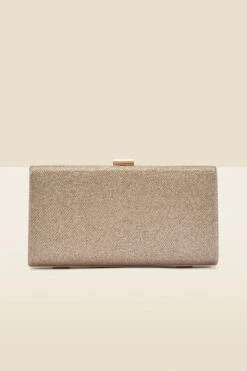 Champagne Gold Clasp Detail Box Clutch Bag -Sosandar Fashion Store web a22ac002cm b