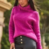 Magenta Roll Neck Super Soft Knitted Jumper 2 Magenta Roll Neck Super Soft Knitted Jumper -Sosandar Fashion Store web crop 2309 s21tk375pk0015 a23bl002bk0001 23 062